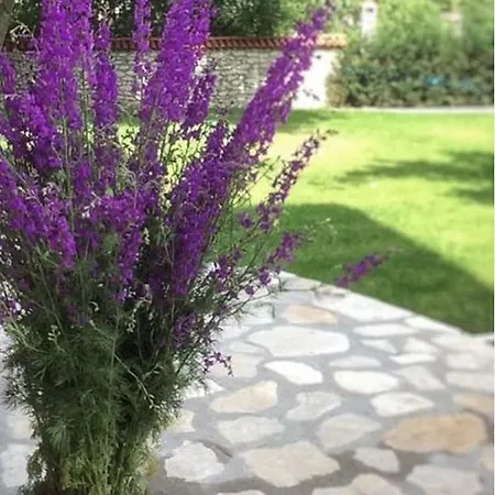 Hotel Karauezuemler Konagi Safranbolu